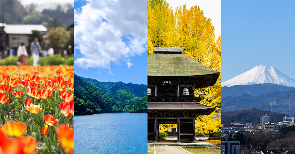 羽村市のチューリップ・夏の奥多摩湖・あきる野広徳寺の紅葉・冬の瑞穂町から見える富士山