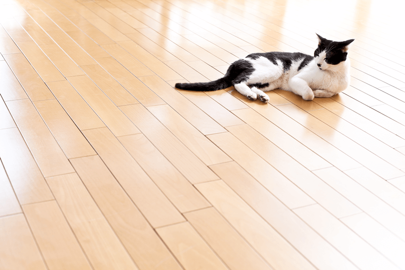 床暖房のイメージ